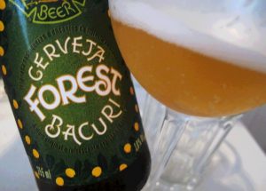 forrest-bacuri