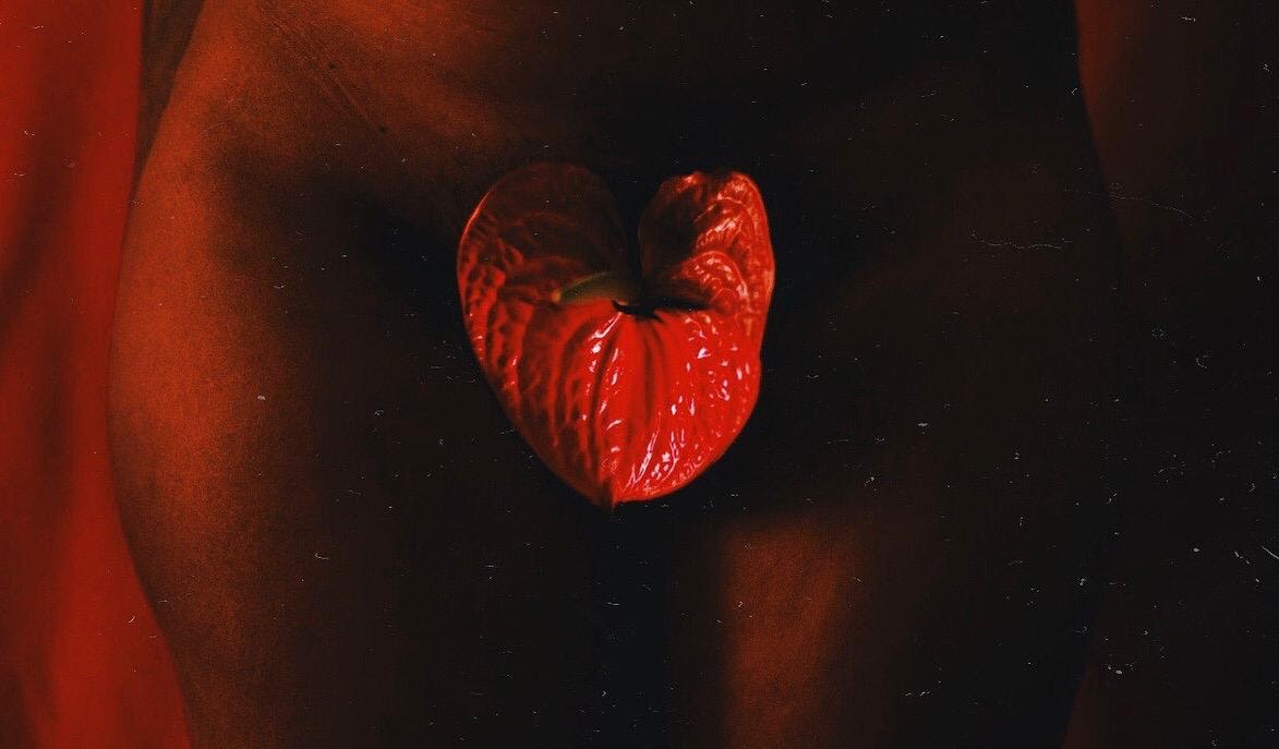 CLIPE | ALFAMOR – SÁBADO SANGUE