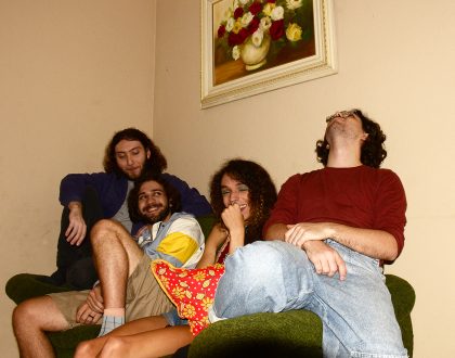 LANÇAMENTO: O CERNE - interferências//desviver