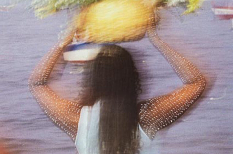 Deságua Arte Anike Lamoso